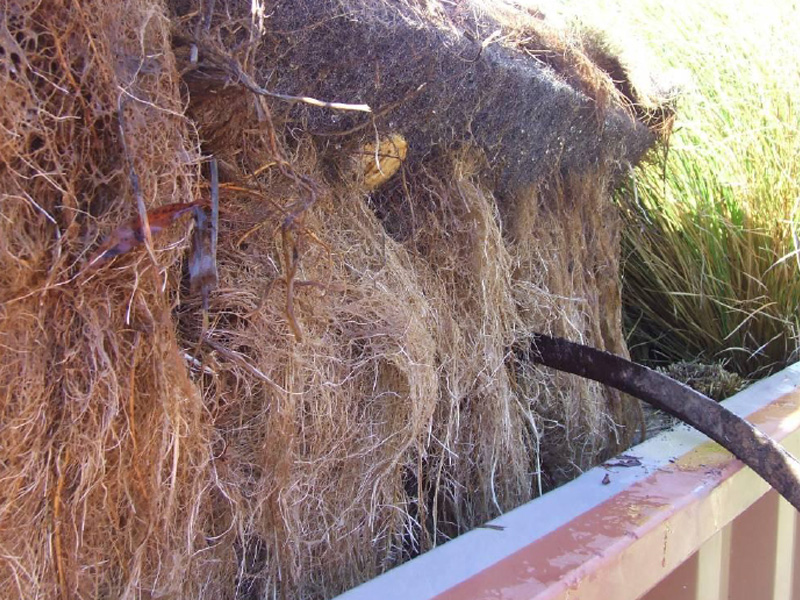 百奧源®浮動(dòng)濕地根系發(fā)達(dá)，密度大大高于人工濕地