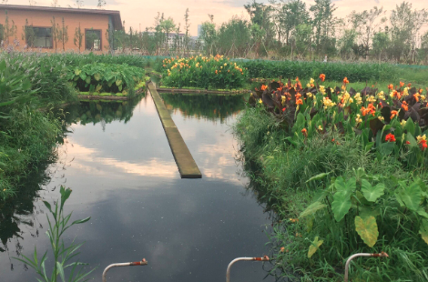 自調(diào)節(jié)循環(huán)凈化平臺 自調(diào)節(jié)循環(huán)凈化平臺